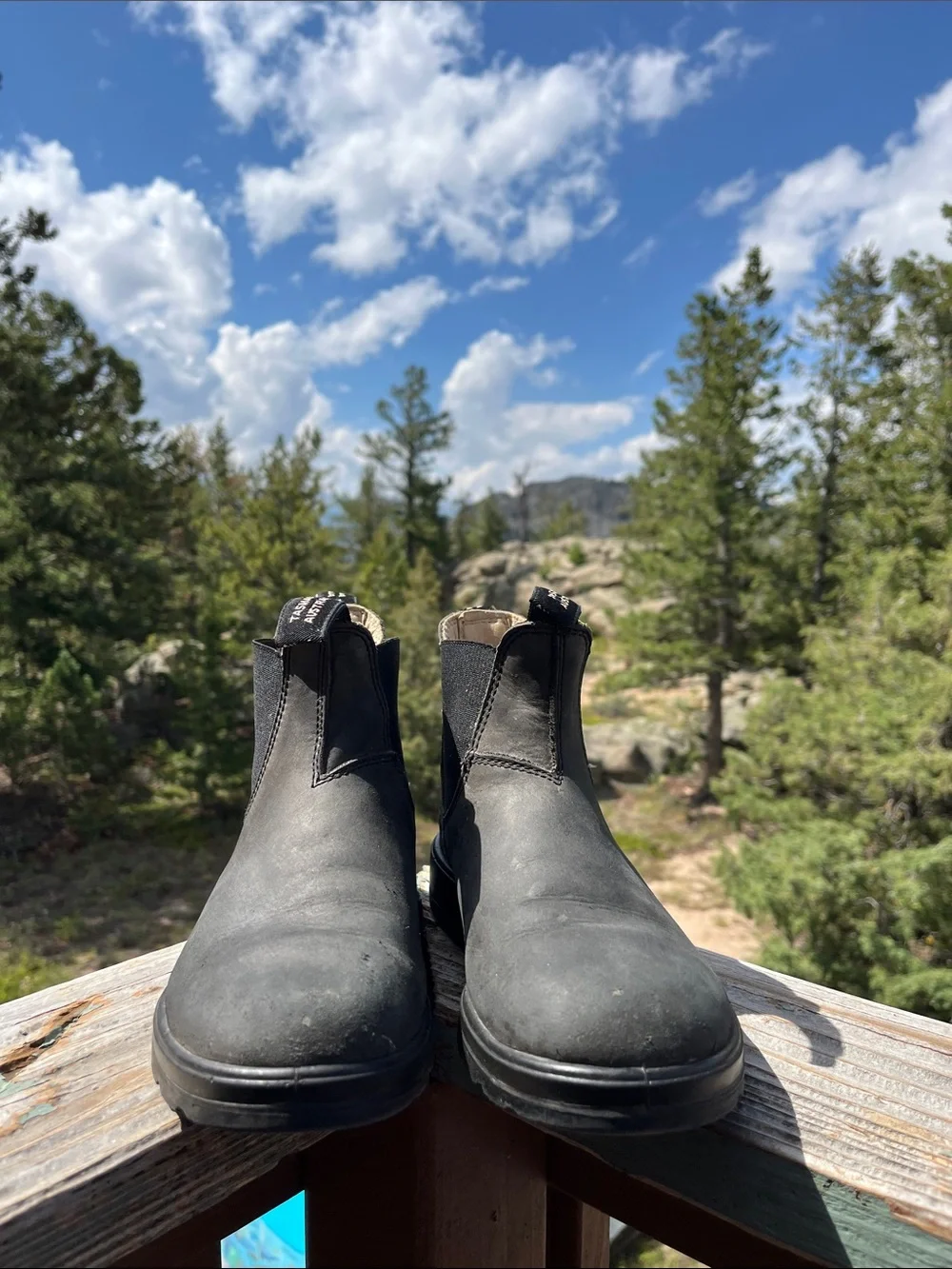 Blundstone Women's Classics #587 Chelsea Boots in Rustic Black AU 5.5 = US W 8.5